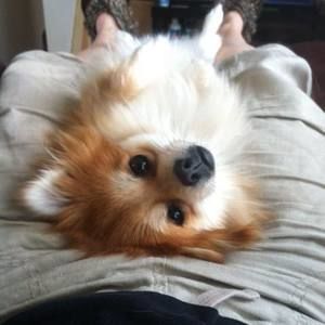 Meet your Posher, Nickole